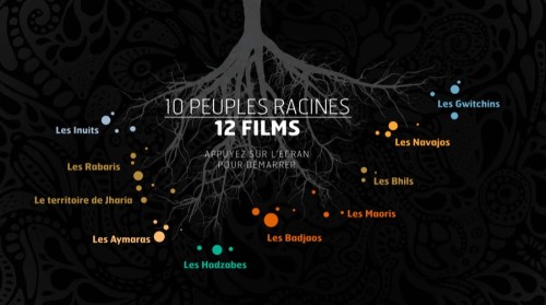 ⭐⭐⭐ Manu Lechat- Webdesigner, intégrateur, développeur Web freelance, manu age