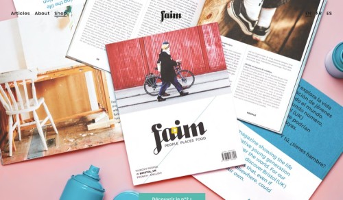 ⭐⭐⭐ Manu Lechat- Webdesigner, intégrateur, développeur Web freelance, book en ligne graphiste