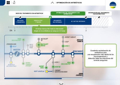 ⭐⭐⭐ Manu Lechat- Webdesigner, intégrateur, développeur Web freelance, développeur wordpress freelance rennes