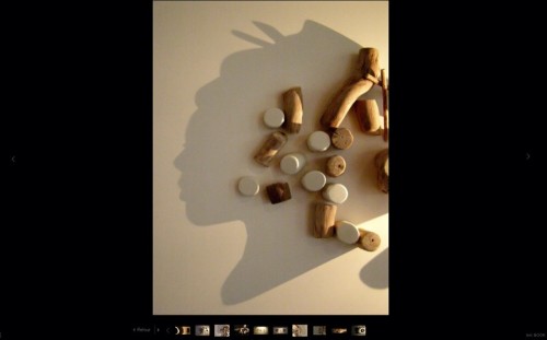 ⭐⭐⭐ Manu Lechat- Webdesigner, intégrateur, développeur Web freelance, studio design produit nantais