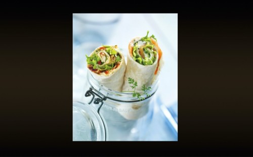 ⭐⭐⭐ Manu Lechat- Webdesigner, intégrateur, développeur Web freelance, book webdesigner