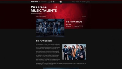 ⭐⭐⭐ Manu Lechat- Webdesigner, intégrateur, développeur Web freelance, freelance php nantes