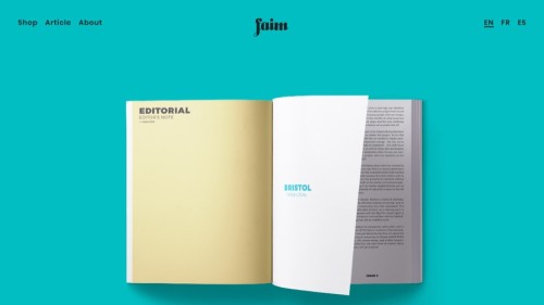 ⭐⭐⭐ Manu Lechat- Webdesigner, intégrateur, développeur Web freelance, le boost nantes